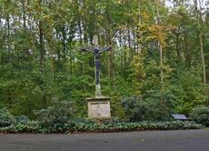 Herbststimmung-23-10-09 024.jpg